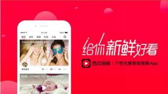 吃瓜娱乐微博视频背景图,揭秘吃瓜娱乐微博视频背景图背后的秘密