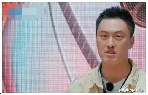 娱乐圈吃瓜爆料理科生,理科生视角下的娱乐圈吃瓜揭秘