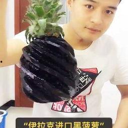 娱乐吃瓜酱胡说八道