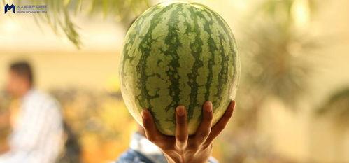 娱乐大事件吃瓜最新