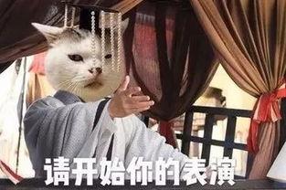 娱乐圈吃瓜态度怎么样啊,热议与反思